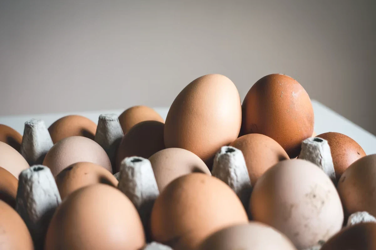 B2B Egg Tray Pulp Packaging