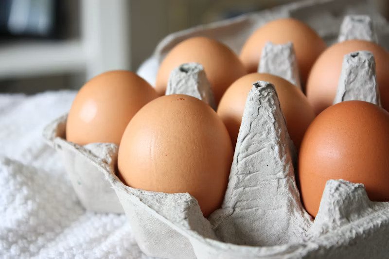 Quality Control Egg Tray Detail